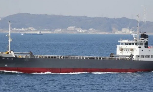 JUNE XIN – 3280DWT/1996 JPN BLT BOX/GC