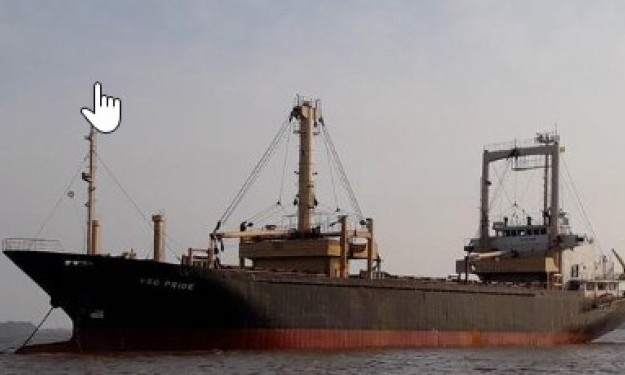 LUCKY STAR 6 – 7869DWT/1996 JPN BLT GEARED TWEEN