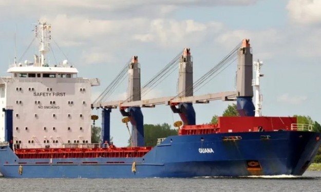 GUANA – 16211DWT/ 1999 TRK BLT GEARED GC/CONTAINER