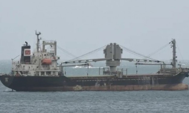 ALISON V  – 6569DWT/1999 IMABARI GEARED GC