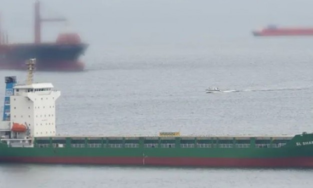 LAI DE 56 – 11705DWT/2005 CHR BLT GLSS MPP/CONTAINER 713TEU