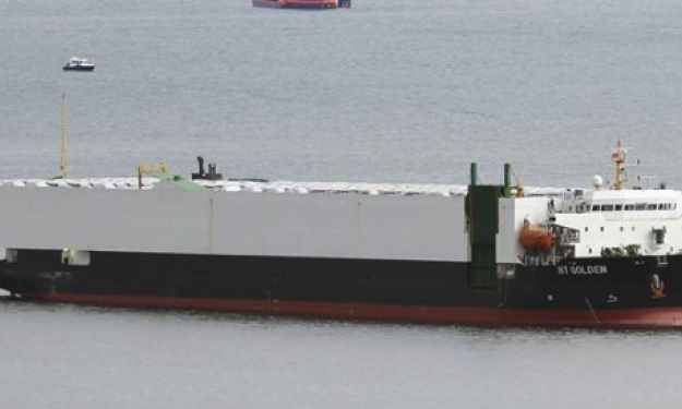 HT GOLDEN  – 2021 CHINA BLT RORO 1002 CARS / PCC