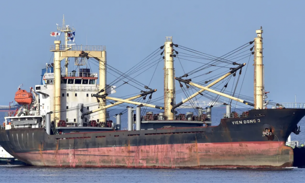 VTV SKY  – GC / 6596DWT / 2004 VIETNAM BLT / SD / GRD / SEA