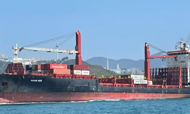 ERASMUS ICON – 23395 DWT / 2005 BLT CHR / 1740 TEU / GRD