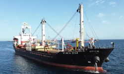 AFAMIA STAR – 8595 DWT / 1999 JPN BLT / GC / GRD