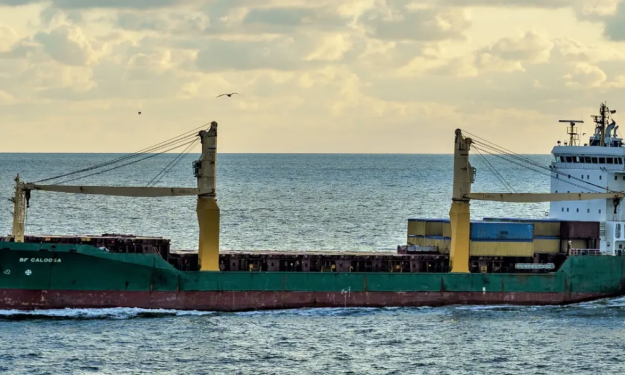 SOL HONGKONG  – 11145DWT/2007 KOR SIDE CRANE/TWEEN/TEU/MPP