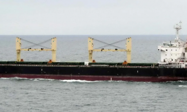 PETRUS – 57374 DWT / 2011 BLT KRS / STX / GRD / SUPRAMAX