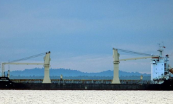 YONG SHENG 99  – 9101DWT -08CHR BLT GEARED TWEEN