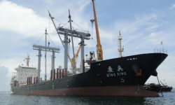 PRINCE GOLD – 8787DWT/2009 CHR BLT SD/BULK/GEARED