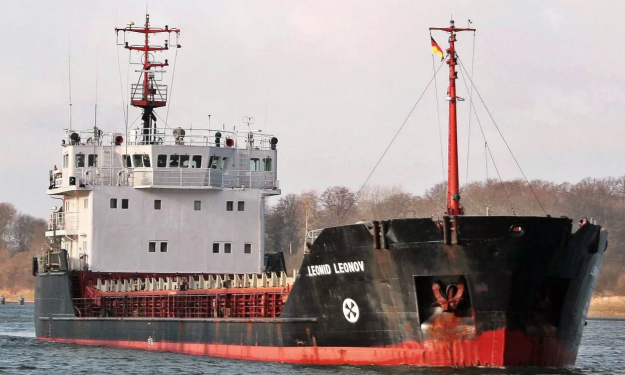 LEONID LEONOV – 3369DWT 1995 RUS BLT GLSS/BALTISKIY TYPE/BOX/SID/MPP