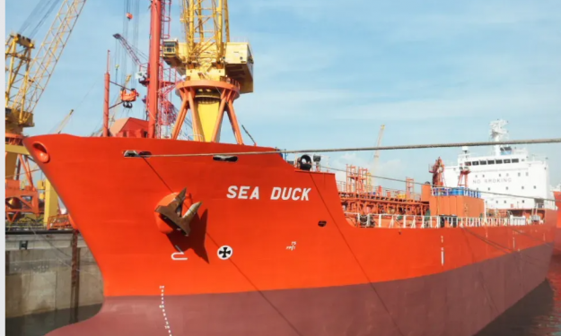 SEA DUCK – 2009 KRS BLT / 12966 DWT / 13687 CBM / EPOXY / CHEM HANDY TANKER - BALTIC