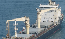 LIANG DA – MINI BULKER / 10880 DWT / 2015 BLT CHR / GRD / FEA