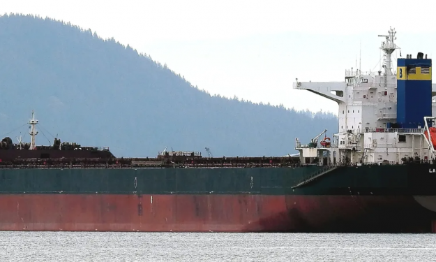 LAKE DOLPHIN  – 179418 DWT / 2011 BLT KRS CAPESIZE