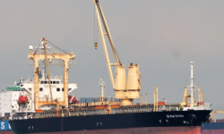 QI XIA SHAN – GC / 13939 DWT / 2004 BLT JPN / TWEEN / GRD / ECI